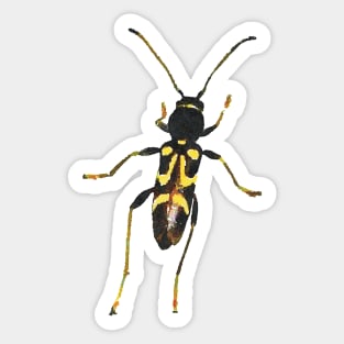 Round-necked Longhorn Beetle Sticker